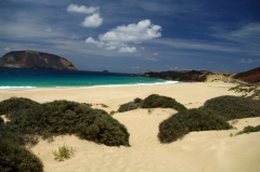 Playa Las Conchas - из всех увиденных на Канарах (мы не были на La Palma, El Hierro, и на юге Гран-Канарии) это самый красивый пляж. Смотрю на фотографии и сердце замирает. Белый песок, зеленый ballancon (так и не нашла русского названия этого пустынного кустарника), зеленоватая вода Атлантики,  рыжеватый остров Монтана Клара, черный базальт и Монтана Bermeja цвета канарской кошенили.